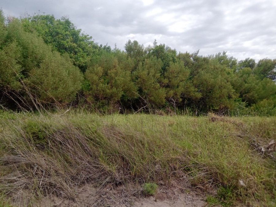 Commercial Property for Sale in Paradise Beach Eastern Cape